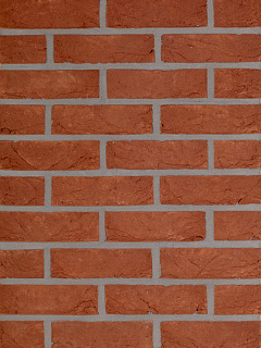    Paepesteen HEYLEN BRICKS