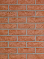   Rood HEYLEN BRICKS