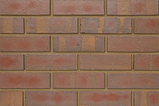   Staffordshire Smooth IBSTOCK