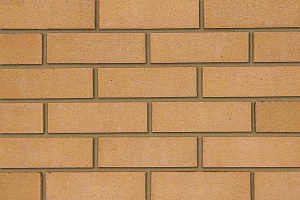   Severn Buff   Qbricks IBSTOCK