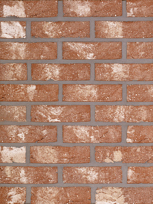   Neo Romaans HEYLEN BRICKS
